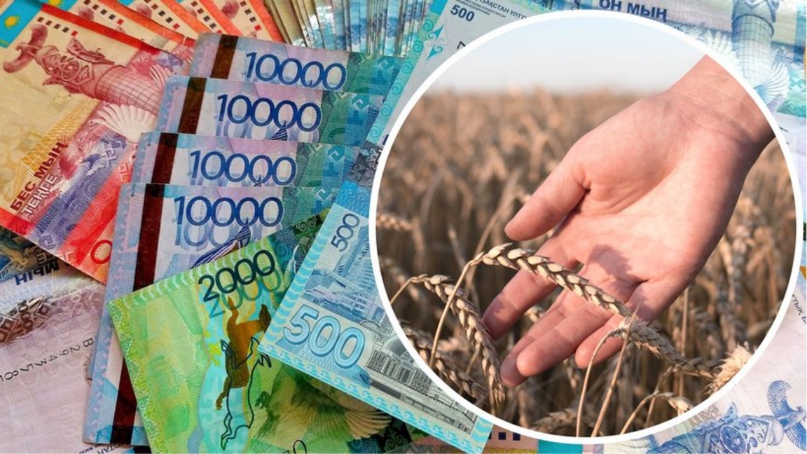 В Абайской области выявлены нарушения при распределении субсидий