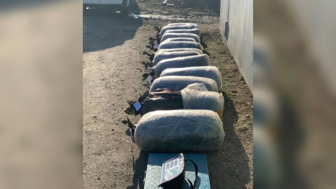 В Павлодарской области изъяли около 300 кг наркотиков